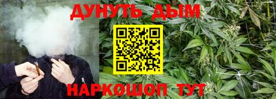 mdpv Бийск